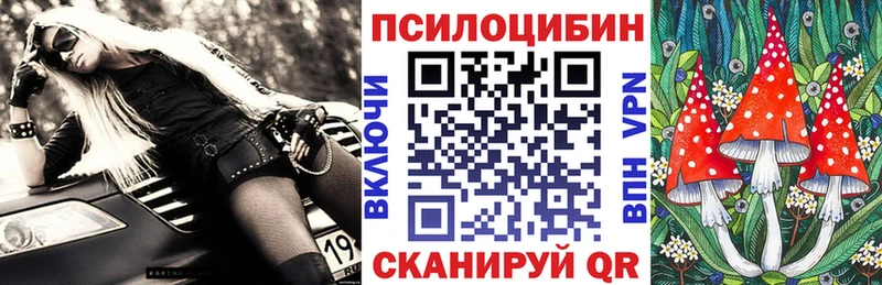 Купить где  Кизляр  Псилоцибиновые грибы GOLDEN TEACHER 